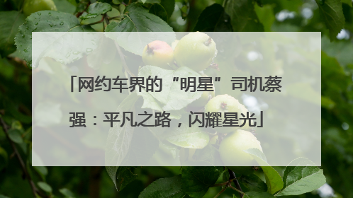 网约车界的“明星”司机蔡强：平凡之路，闪耀星光