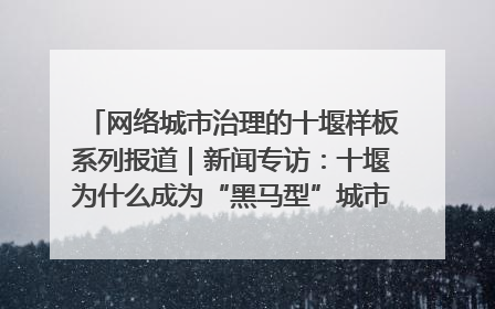 网络城市治理的十堰样板系列报道｜新闻专访：十堰为什么成为“黑马型”城市治理网络维度典型