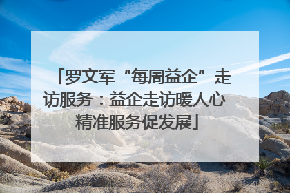 罗文军“每周益企”走访服务：益企走访暖人心 精准服务促发展