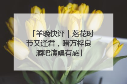 羊晚快评｜落花时节又逢君，睹万梓良酒吧演唱有感