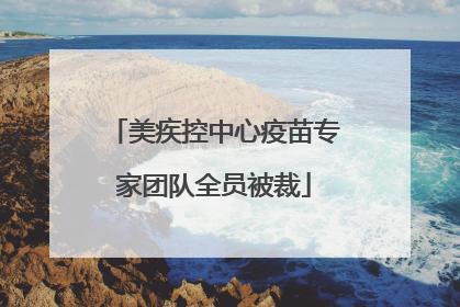 美疾控中心疫苗专家团队全员被裁