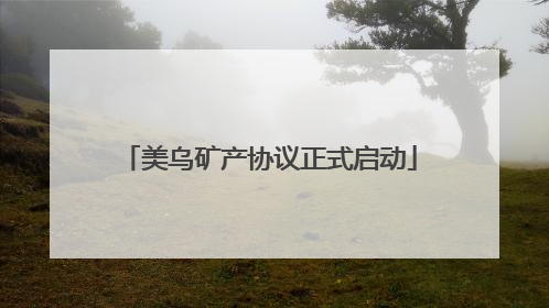 美乌矿产协议正式启动