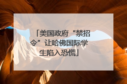 美国政府“禁招令”让哈佛国际学生陷入恐慌