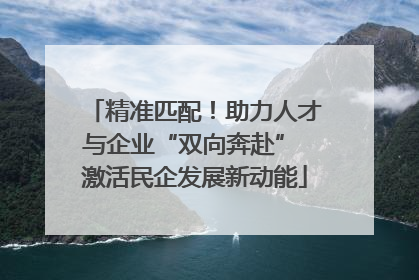 精准匹配！助力人才与企业“双向奔赴” 激活民企发展新动能