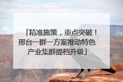 精准施策，重点突破！邢台一群一方案推动特色产业集群提档升级