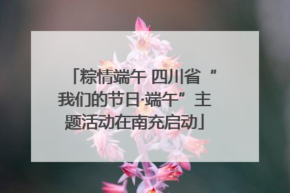 粽情端午 四川省“我们的节日·端午”主题活动在南充启动