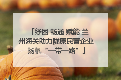 纾困 畅通 赋能 兰州海关助力陇原民营企业扬帆“一带一路”