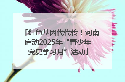 红色基因代代传！河南启动2025年“青少年党史学习月”活动