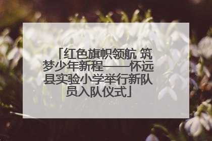 红色旗帜领航 筑梦少年新程——怀远县实验小学举行新队员入队仪式