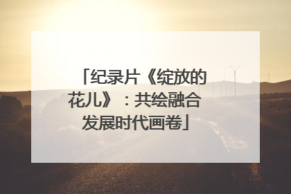 纪录片《绽放的花儿》：共绘融合发展时代画卷