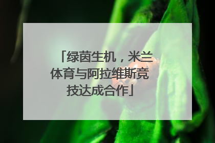 绿茵生机，米兰体育与阿拉维斯竞技达成合作