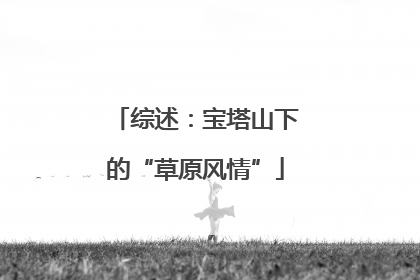 综述：宝塔山下的“草原风情”