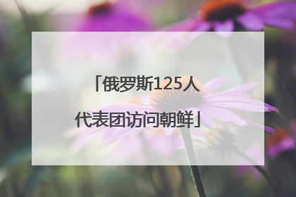 俄罗斯125人代表团访问朝鲜
