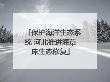 保护海洋生态系统 河北推进海草床生态修复