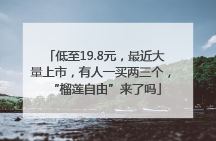 低至19.8元，最近大量上市，有人一买两三个，“榴莲自由”来了吗