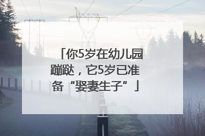 你5岁在幼儿园蹦跶，它5岁已准备“娶妻生子”