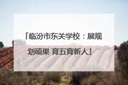 临汾市东关学校：展规划硕果 育五育新人