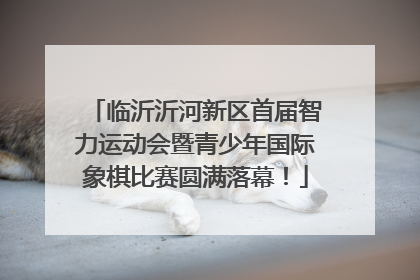 临沂沂河新区首届智力运动会暨青少年国际象棋比赛圆满落幕！
