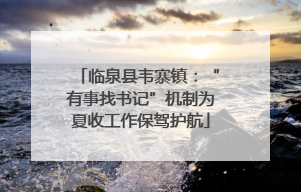 临泉县韦寨镇：“有事找书记”机制为夏收工作保驾护航