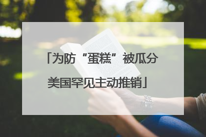 为防“蛋糕”被瓜分 美国罕见主动推销