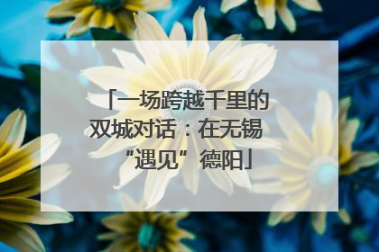 一场跨越千里的双城对话：在无锡“遇见”德阳