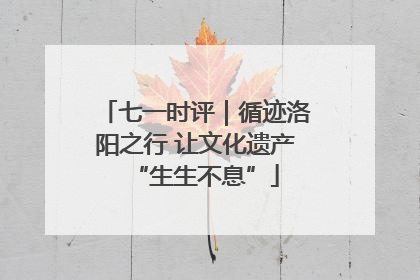 七一时评｜循迹洛阳之行 让文化遗产“生生不息”