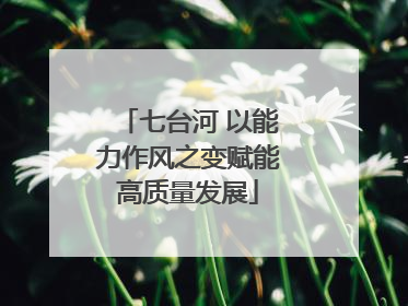 七台河 以能力作风之变赋能高质量发展