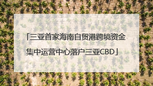 三亚首家海南自贸港跨境资金集中运营中心落户三亚CBD