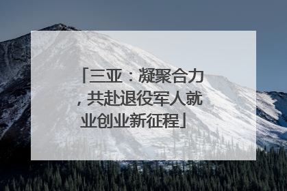 三亚：凝聚合力，共赴退役军人就业创业新征程