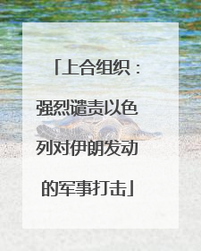 上合组织：强烈谴责以色列对伊朗发动的军事打击