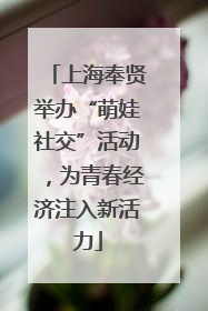 上海奉贤举办“萌娃社交”活动，为青春经济注入新活力