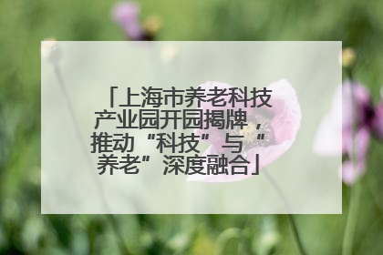 上海市养老科技产业园开园揭牌，推动“科技”与“养老”深度融合