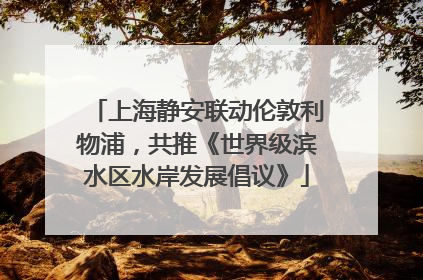 上海静安联动伦敦利物浦，共推《世界级滨水区水岸发展倡议》