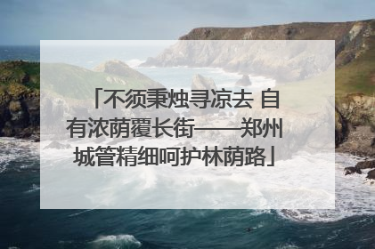 不须秉烛寻凉去 自有浓荫覆长街——郑州城管精细呵护林荫路