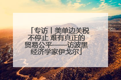 专访丨美单边关税不停止 难有真正的贸易公平——访波黑经济学家伊戈尔