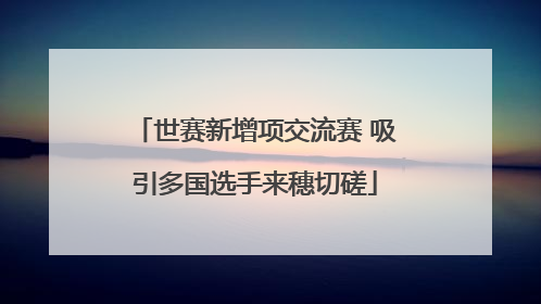 世赛新增项交流赛 吸引多国选手来穗切磋