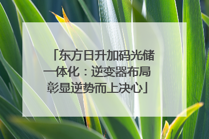 东方日升加码光储一体化：逆变器布局彰显逆势而上决心