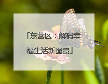 东营区：解码幸福生活新图景