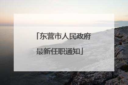 东营市人民政府最新任职通知