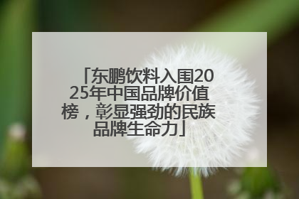 东鹏饮料入围2025年中国品牌价值榜，彰显强劲的民族品牌生命力