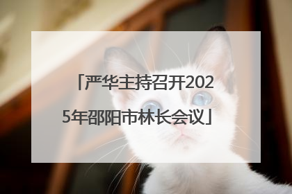 严华主持召开2025年邵阳市林长会议