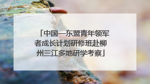 中国—东盟青年领军者成长计划研修班赴柳州三江多地研学考察