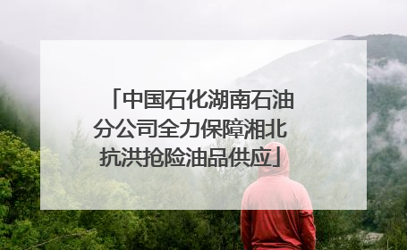 中国石化湖南石油分公司全力保障湘北抗洪抢险油品供应
