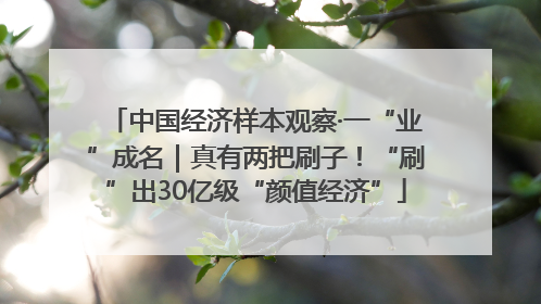 中国经济样本观察·一“业”成名｜真有两把刷子！“刷”出30亿级“颜值经济”