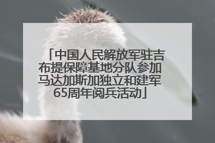 中国人民解放军驻吉布提保障基地分队参加马达加斯加独立和建军65周年阅兵活动