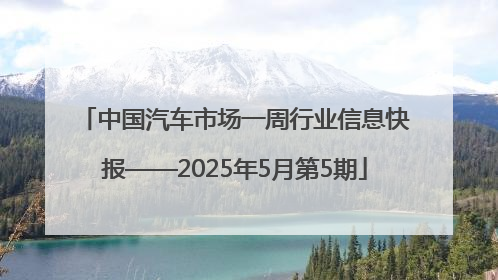 中国汽车市场一周行业信息快报——2025年5月第5期