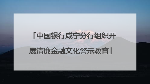 中国银行咸宁分行组织开展清廉金融文化警示教育