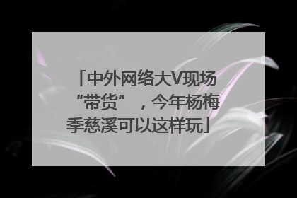 中外网络大V现场“带货”，今年杨梅季慈溪可以这样玩