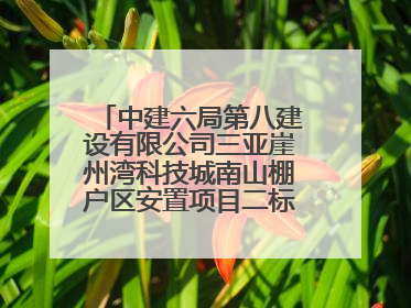 中建六局第八建设有限公司三亚崖州湾科技城南山棚户区安置项目二标段顺利通过第一次主体结构验收