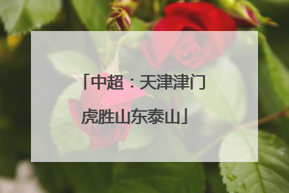 中超：天津津门虎胜山东泰山